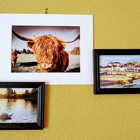The Coo'S Guest House-3